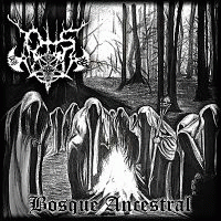 Otis : Bosque Ancestral
